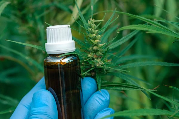 Les mini buds CBD : bienfaits et conseils d’utilisation