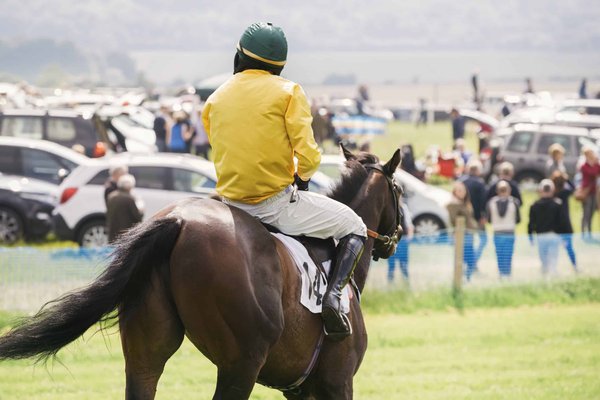 Les 3 principaux critères de sélection d'un Gilet de protection en équitation