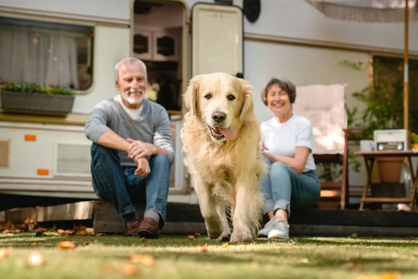 Peut-on amener ses animaux de compagnie au Camping du Lavedan ?